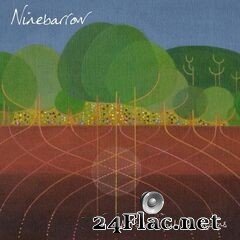 Ninebarrow - A Pocket Full of Acorns (2021) FLAC