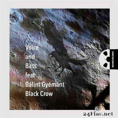 Voice and Bass, Balint Gyemant - Black Crow (2020/2021) Hi-Res