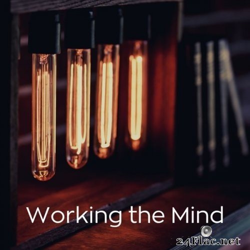 Relax α Wave - Working the Mind (2021) Hi-Res
