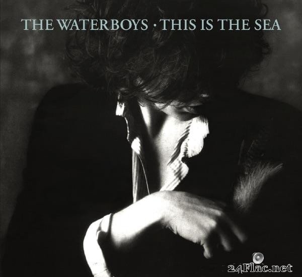 The Waterboys - This Is the Sea (1985) [FLAC (tracks + .cue)]