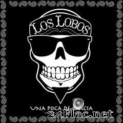 Los Lobos - Una Poca De Gracia (Live ’95) (2020) FLAC