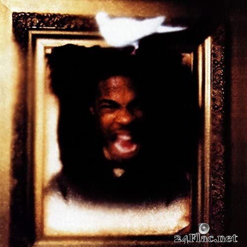 Busta Rhymes - The Coming (25th Anniversary Super Deluxe Edition) (1996/2021) Hi-Res