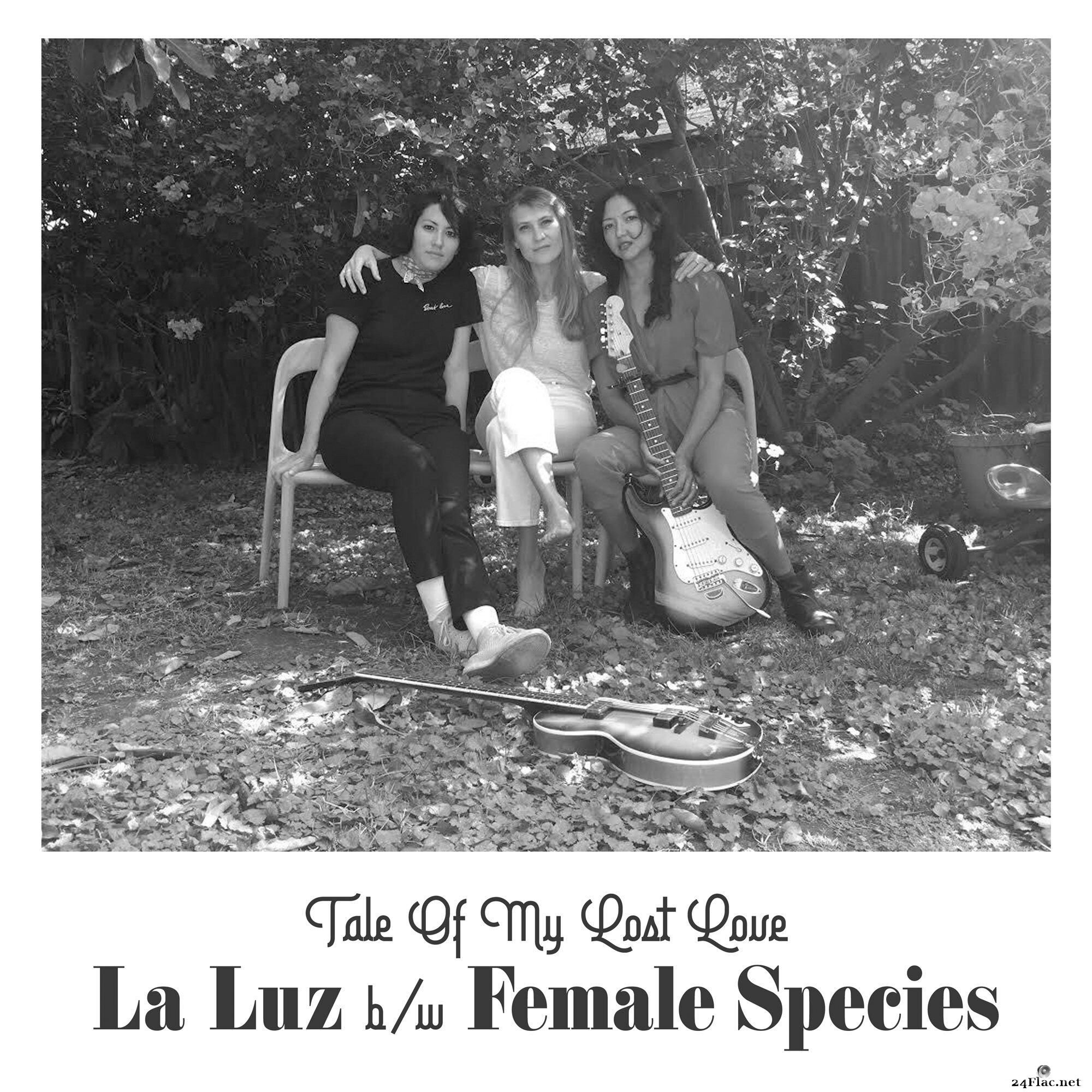 La Luz & Female Species - Tale Of My Lost Love (2021) Hi-Res