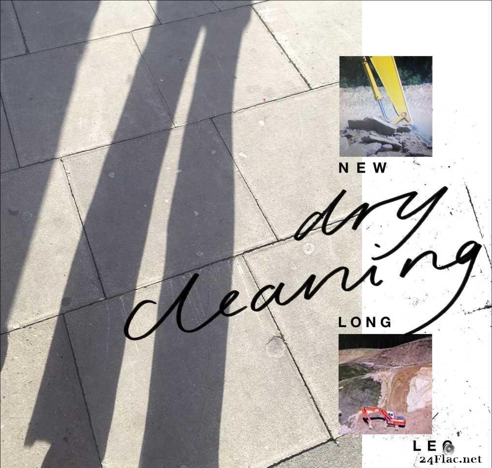 Dry Cleaning - New Long Leg (2021) [FLAC (tracks + .cue)]