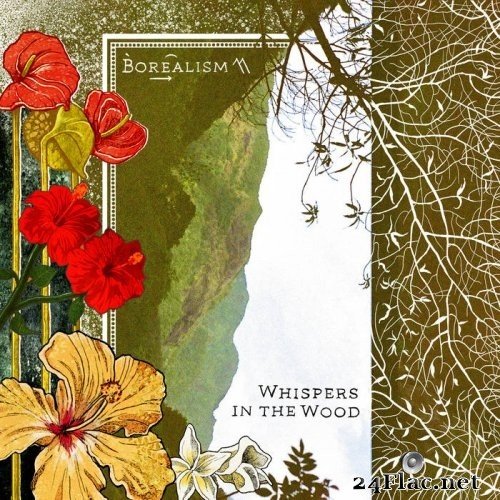 Borealism - Whispers in the Wood (2021) Hi-Res