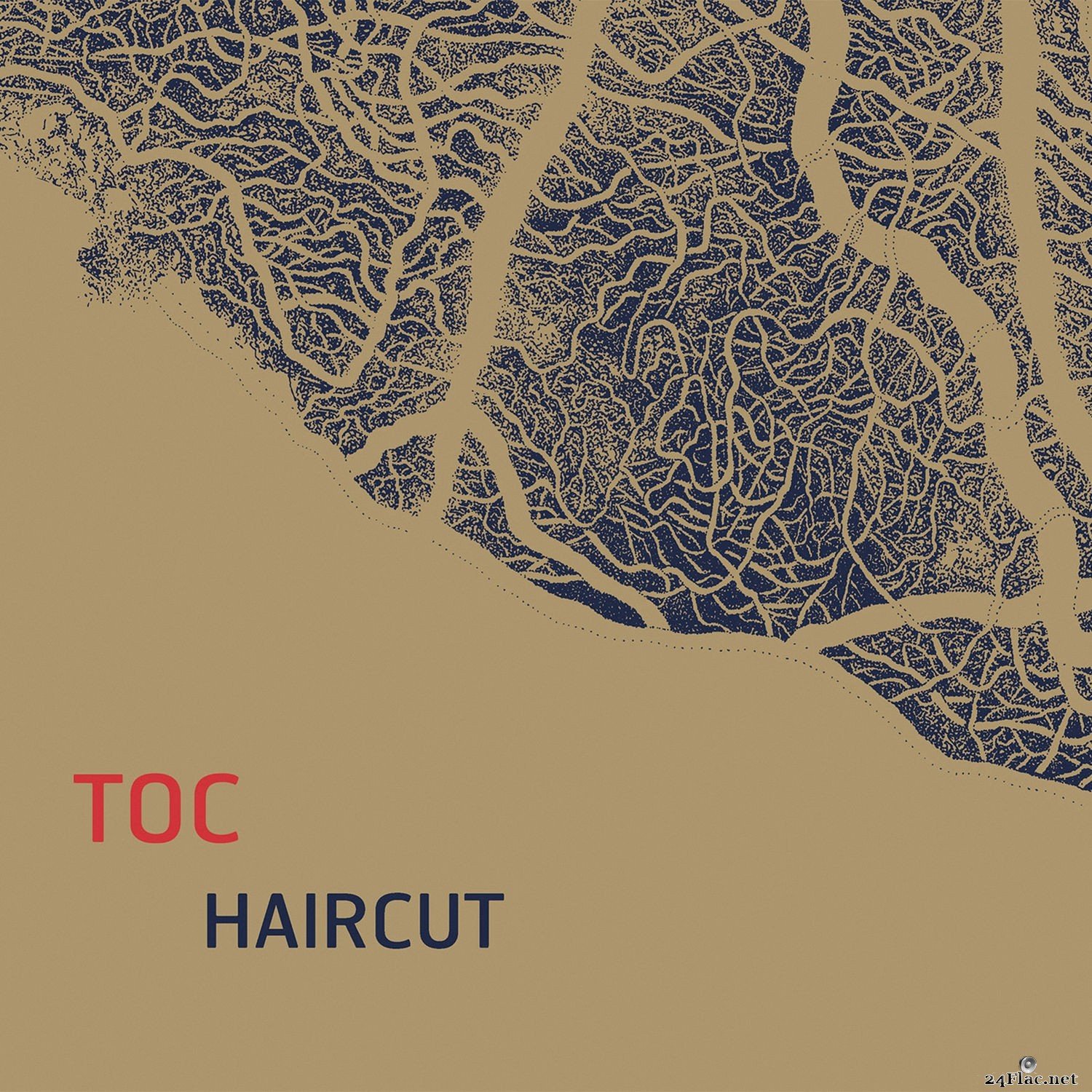 Toc - Haircut (2021) Hi-Res