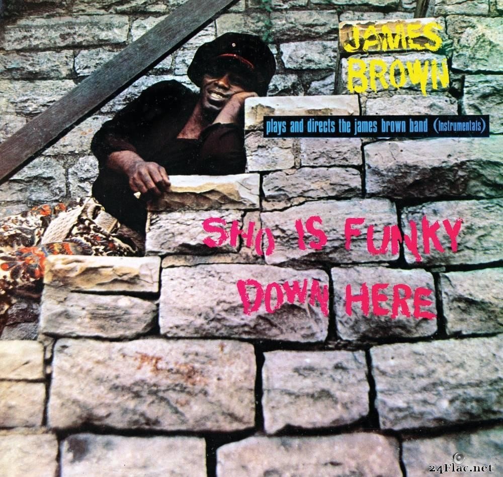 James Brown & The James Brown Band - Sho Is Funky Down Here (1971/2019) [FLAC (tracks + .cue)]