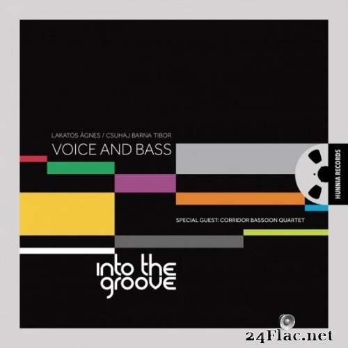 Voice And Bass - Into The Groove (2012) Hi-Res