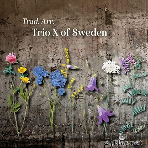 Trio X of Sweden - Trad. Arr (2021) Hi-Res