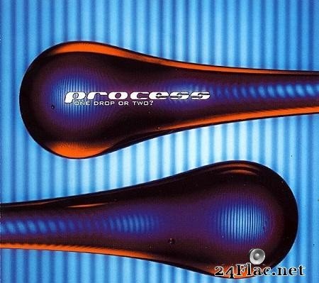 Process - One Drop Or Two? (2000) [FLAC (tracks + .cue)]