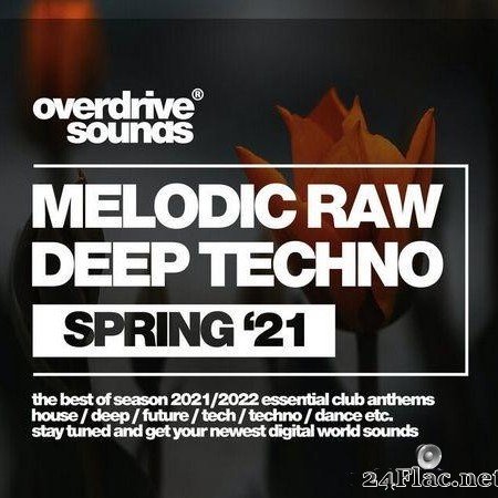VA - Melodic Raw Deep Techno (Spring '21) (2021) [FLAC (tracks)]