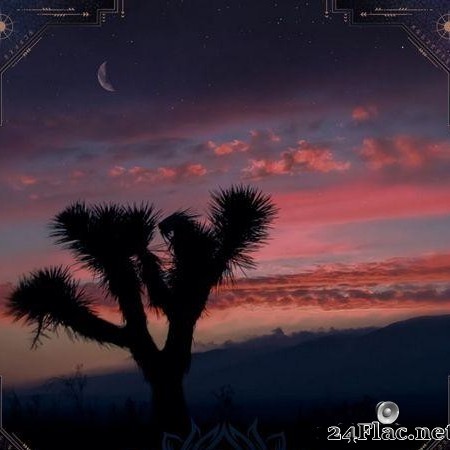 VA - Night Visions 3 - Desert Dwellers Remixes (2021) [FLAC (tracks)]