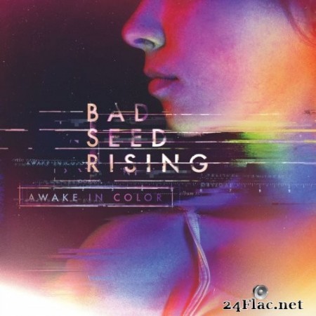 Bad Seed Rising - Awake In Color (2016) Hi-Res