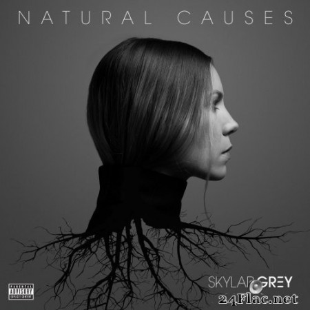 Skylar Grey - Natural Causes (2016) Hi-Res