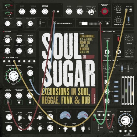 Soul Sugar - Excursions In Soul Reggae Funk & Dub (2021) FLAC