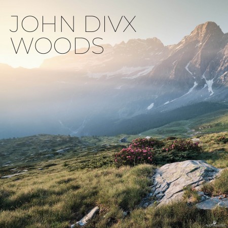 John Divx - Woods (8D Audio) (2021) Hi-Res