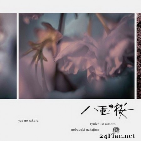 Yae no Sakura (Yae no Sakura OST II) (by Ryuichi Sakamoto & Nobuyuki Nakajima) (2013) Hi-Res