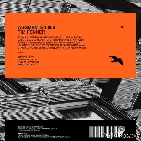 VA - Augmented 005 / Tim Penner (2021) [FLAC (tracks)]