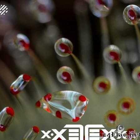 VA - xXETEXx Vol. 04 by Golanski (2021) [FLAC (tracks)]