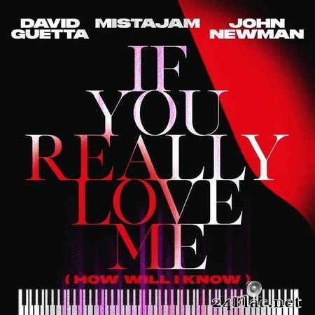 David Guetta, MistaJam, John Newman - If You Really Love Me (How Will I Know) (2021) FLAC