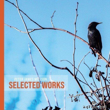 Peter James Millson - Selected Works (2021) Hi-Res