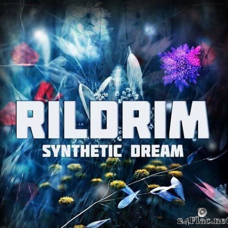 Rildrim - Synthetic Dream (2013) [FLAC (tracks)]