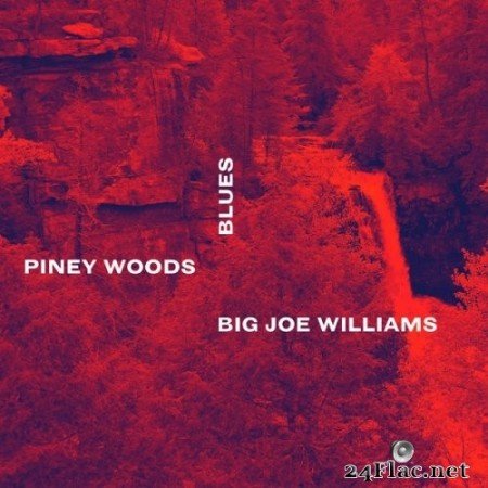 Big Joe Williams - Piney Woods Blues (1958/2021) Hi-Res