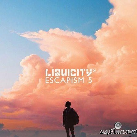 VA - Liquicity Escapism 5 (2021) [FLAC (tracks)]