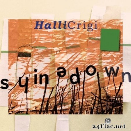 Halli Crigi - Shinedown (2021) Hi-Res