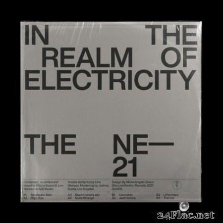 The Ne-21 - In The Realm Of Electricity (2021) Hi-Res