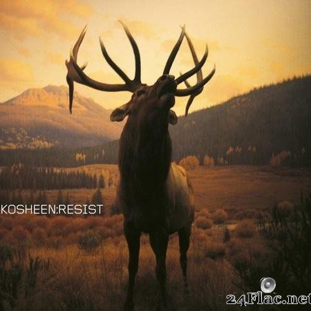 Kosheen - Resist (2021 Remaster) (2021) [FLAC (tracks)]