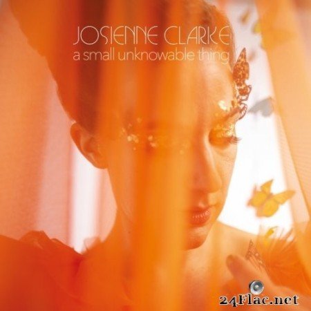 Josienne Clarke - A Small Unknowable Thing (2021) Hi-Res