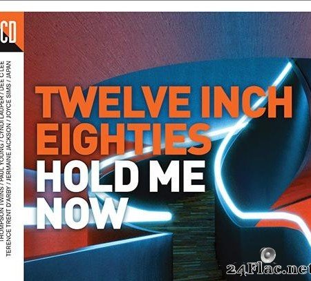VA - Twelve Inch Eighties (Hold Me Now) (2017) [FLAC (tracks + .cue)]