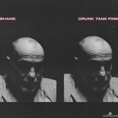 Shame - Drunk Tank Pink (Amazon Exclusive) (2021) [FLAC (tracks + .cue)]