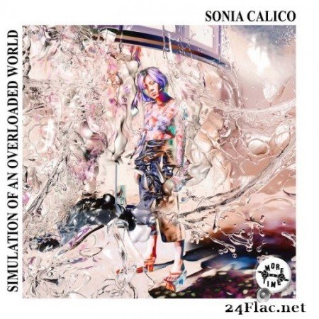 Sonia Calico - Simulation of an Overloaded World (2020) Hi-Res