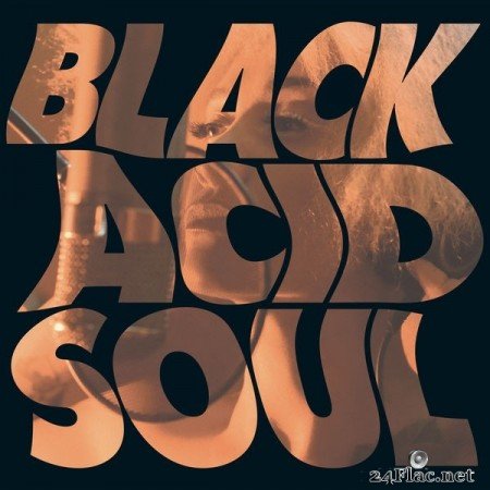 Lady Blackbird - Black Acid Soul (2021) Hi-Res