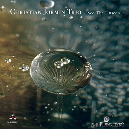 Christian Jormin Trio - See The Unseen (2021) Hi-Res