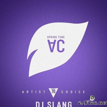 VA - Artist Choice 070: DJ Slang (7th Selection) (2021) [FLAC (tracks)]