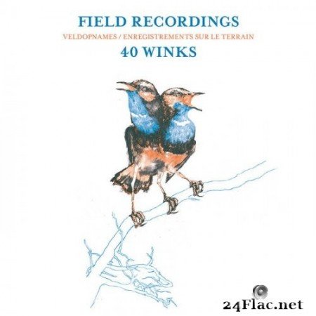 40 Winks - Field Recordings (2021) Hi-Res