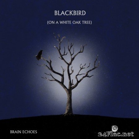 Brain Echoes - Blackbird (On A White Oak Tree) (2021) Hi-Res