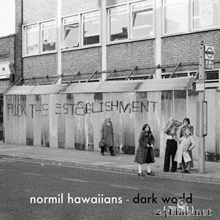 Normil Hawaiians - Dark World (79-81) (2021) Hi-Res