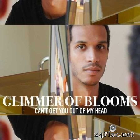 Glimmer of Blooms - Can't Get You out of My Head (2014) FLAC