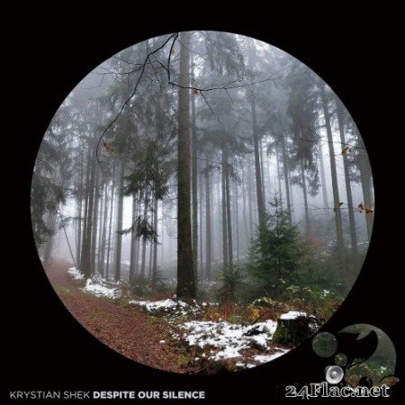 Krystian Shek - Despite Our Silence (2021) Hi-Res