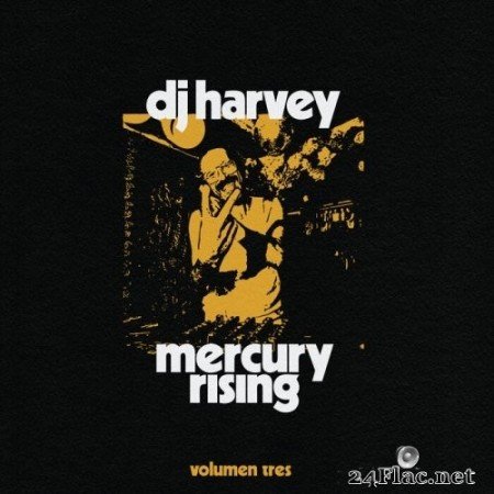 DJ Harvey - The Sound Of Mercury Rising Vol. III (2021) Hi-Res