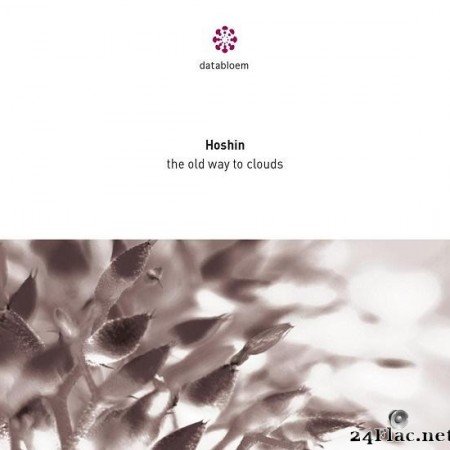 Hoshin - The Old Way to Clouds (2020) [FLAC (tracks)]