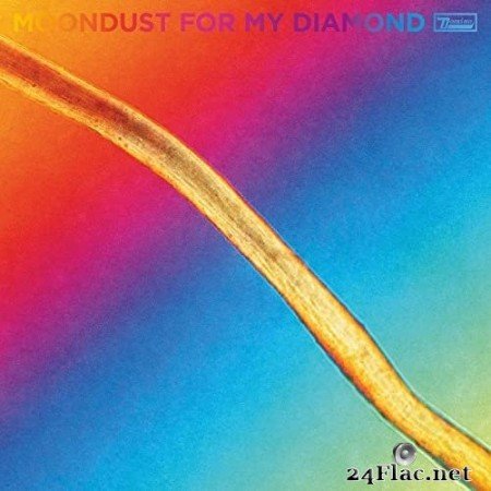 Hayden Thorpe - Moondust For My Diamond (2021) Hi-Res