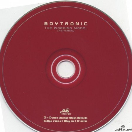 Boytronic - The Working Model (Reverse) (1983/2003) [FLAC (image + .cue)]