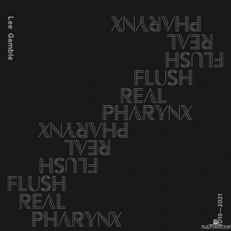 Lee Gamble - Flush Real Pharynx 2019-2021 (2021) [FLAC (tracks + .cue)]