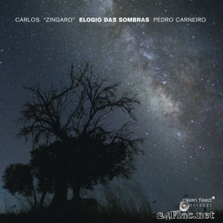 Carlos “Zingaro” & Pedro Carneiro - Elogio das Sombras (2021) Hi-Res