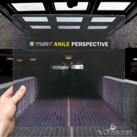Anile - Perspective (2015) Hi-Res